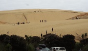 5th Jan 2019 -  Te Paki sands dunes 