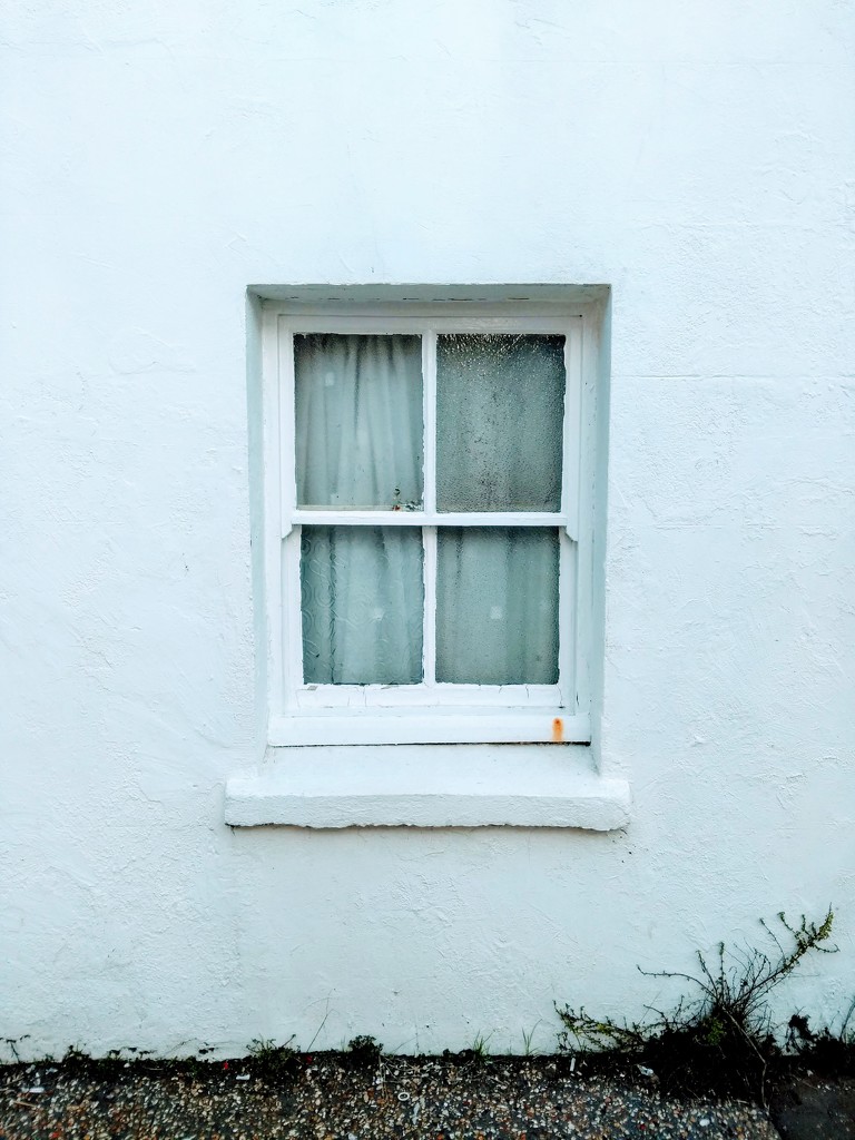 Window by 4rky