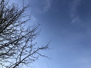 4th Jan 2019 - Blue skies always makes a happy day!