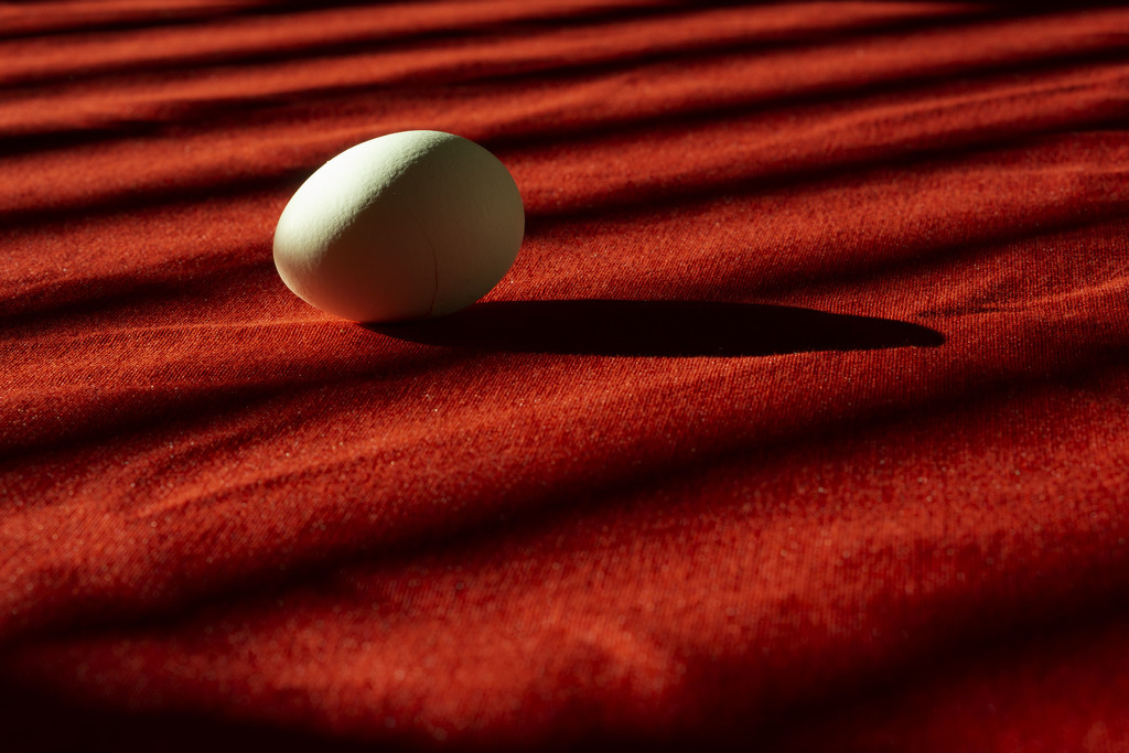 egg on table by granagringa