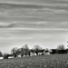 The Farm across the fields... by vignouse