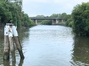 5th Jan 2019 - Parramatta River