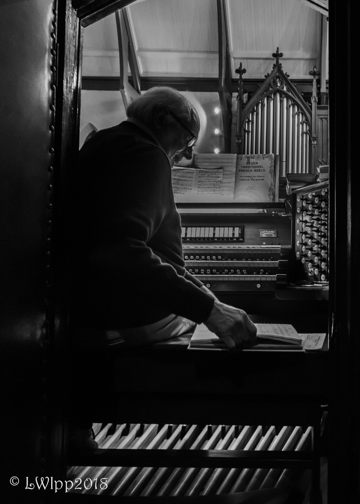 The Organist  by lesip