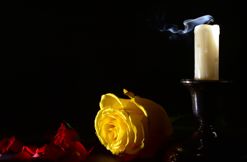 Candle in the Wind by jayberg