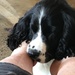 Mintee enjoying a foot massage by Dawn
