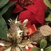 Christmas arrangement... by anne2013