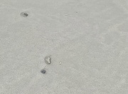 3rd Jan 2019 - Small grey  heart on the beach. 
