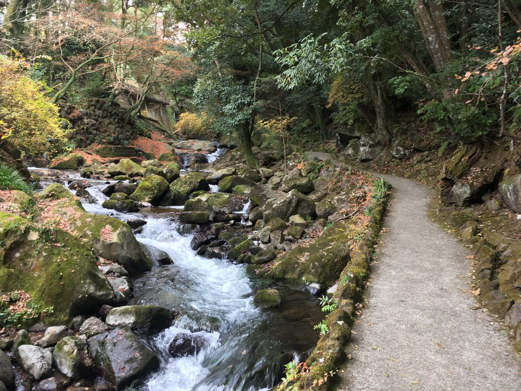 River in Yugawara Manyo Park (万葉の公園), 2019-01-06  by cityhillsandsea