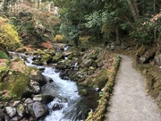 6th Jan 2019 - River in Yugawara Manyo Park (万葉の公園), 2019-01-06 