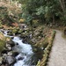 River in Yugawara Manyo Park (万葉の公園), 2019-01-06  by cityhillsandsea
