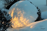 6th Jan 2019 - Snow Globe 