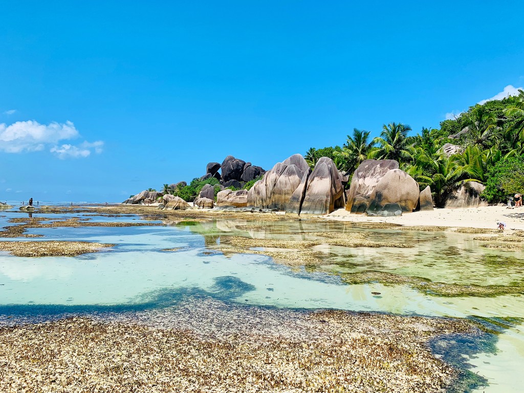Low tide at Anse source d’argent.  by cocobella