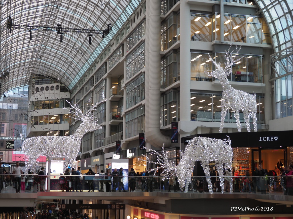 Invasion of Large Animals at the Eaton Centre by selkie