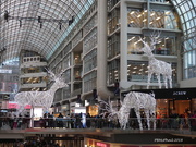 7th Dec 2018 - Invasion of Large Animals at the Eaton Centre
