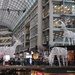 Invasion of Large Animals at the Eaton Centre by selkie