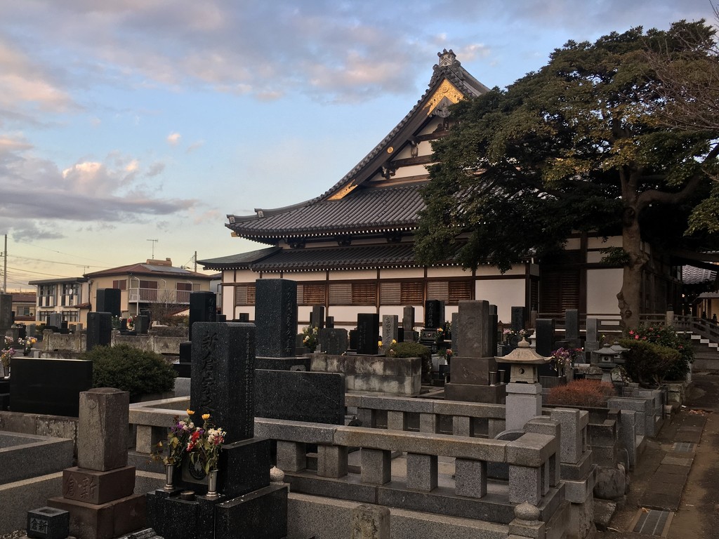Josho Temple (上正寺) 2019-01-07  by cityhillsandsea