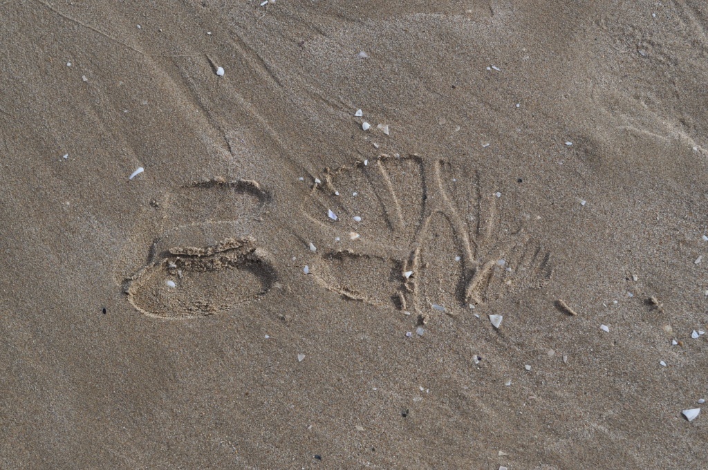 Footprint in the sand by philbacon