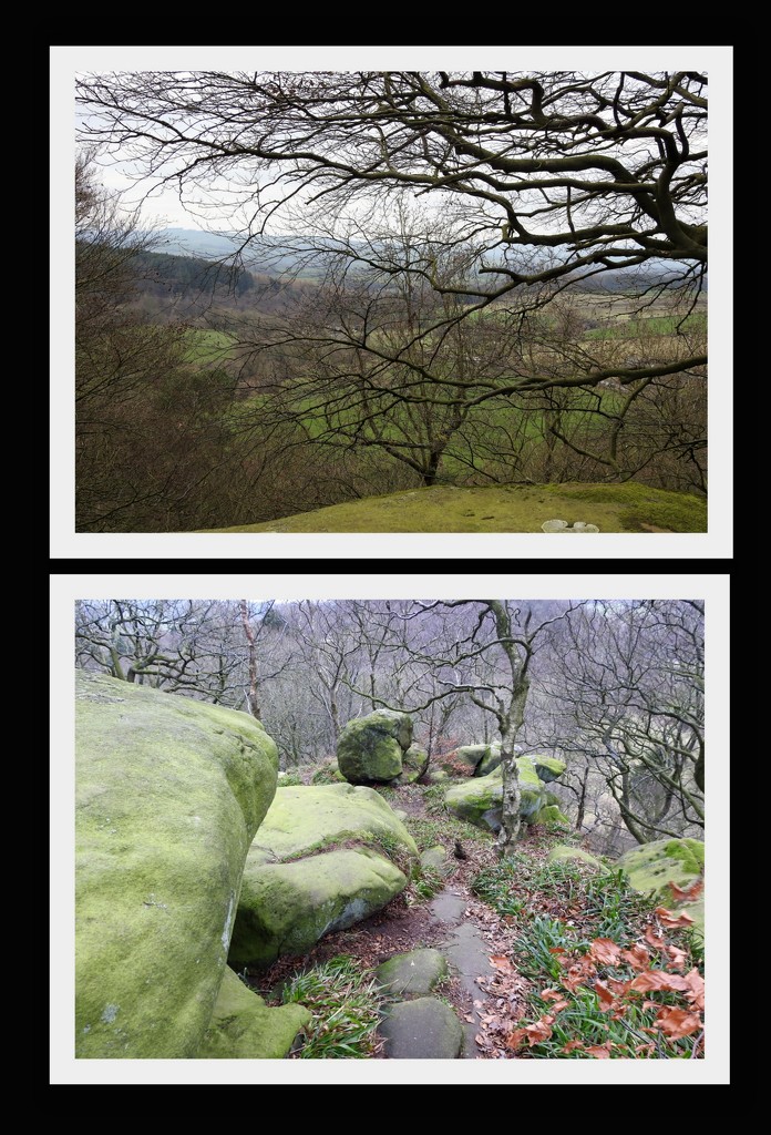 Views from Rowtor Rocks -  Birchover Derbyshire by oldjosh