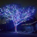 Awesome Tree by mariaostrowski