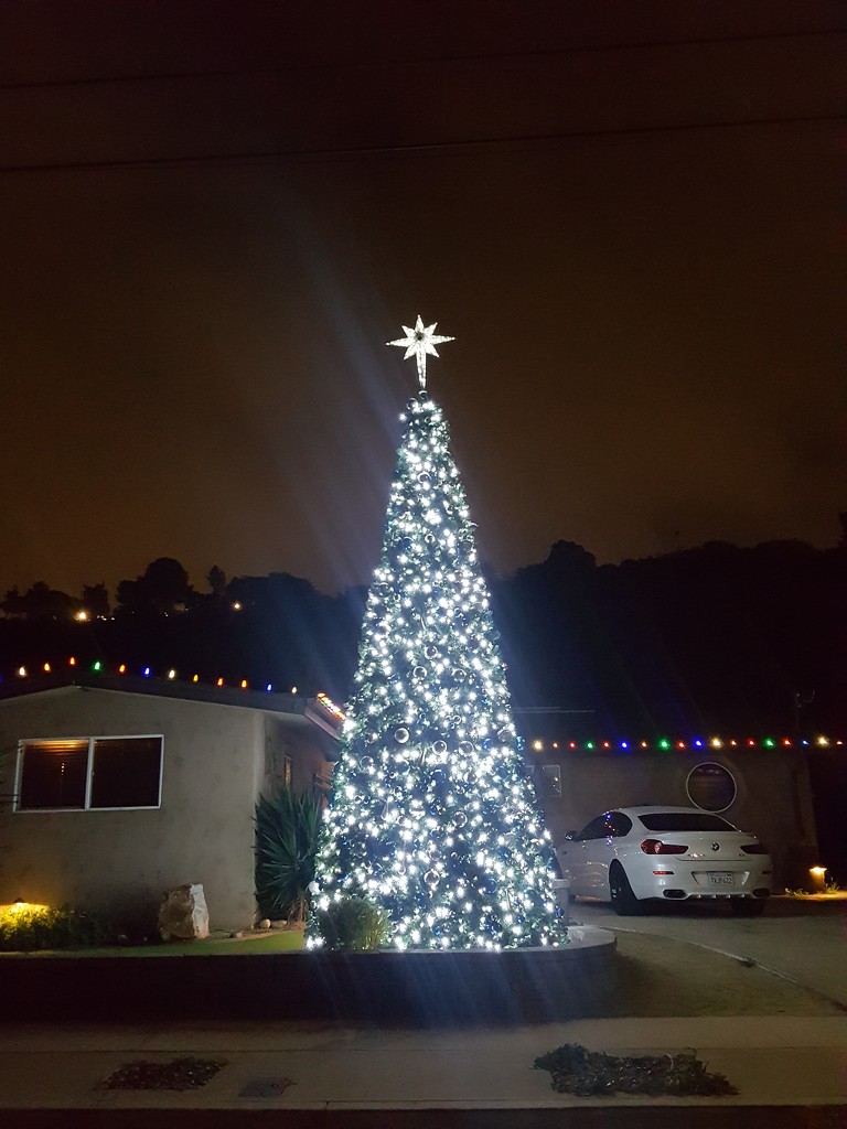 O Christmas tree by mariaostrowski