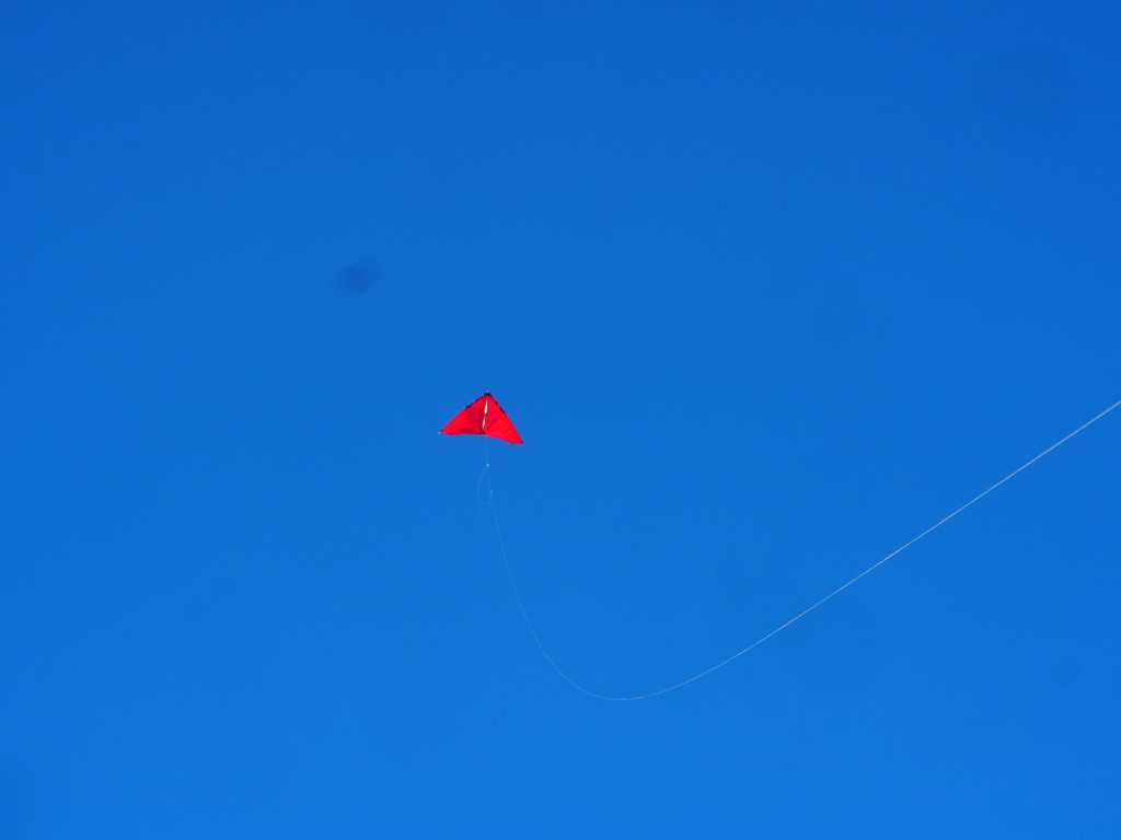 Setting our kite to take out the kontiki Tokerau Beach by Dawn