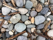 6th Jan 2019 - Stones and driftwood 