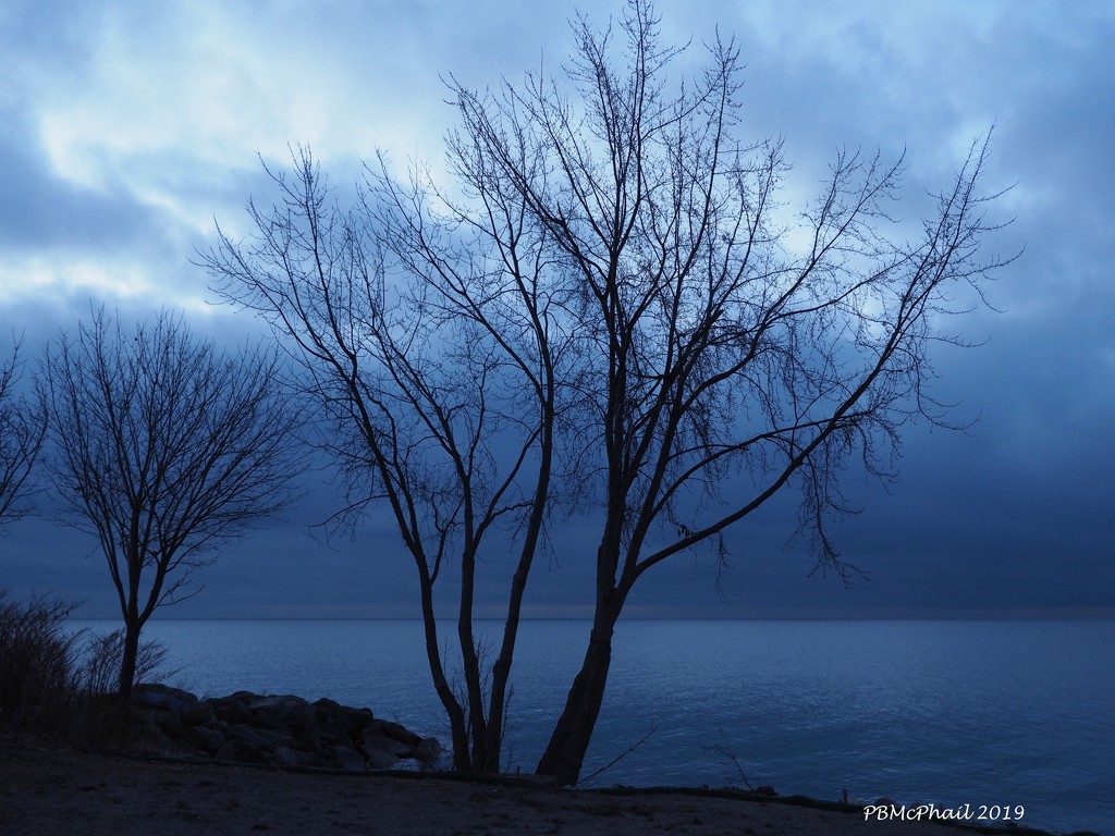 Moody Morning by selkie