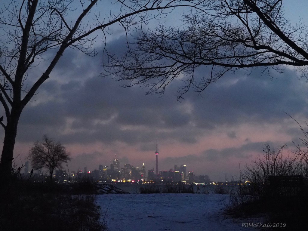 Toronto Framed! by selkie