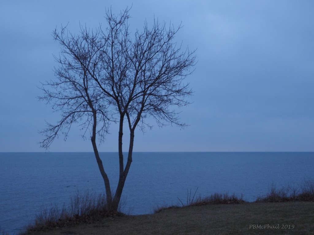 Another Blue Morning by selkie