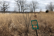 7th Jan 2019 - Treed Prairie Area