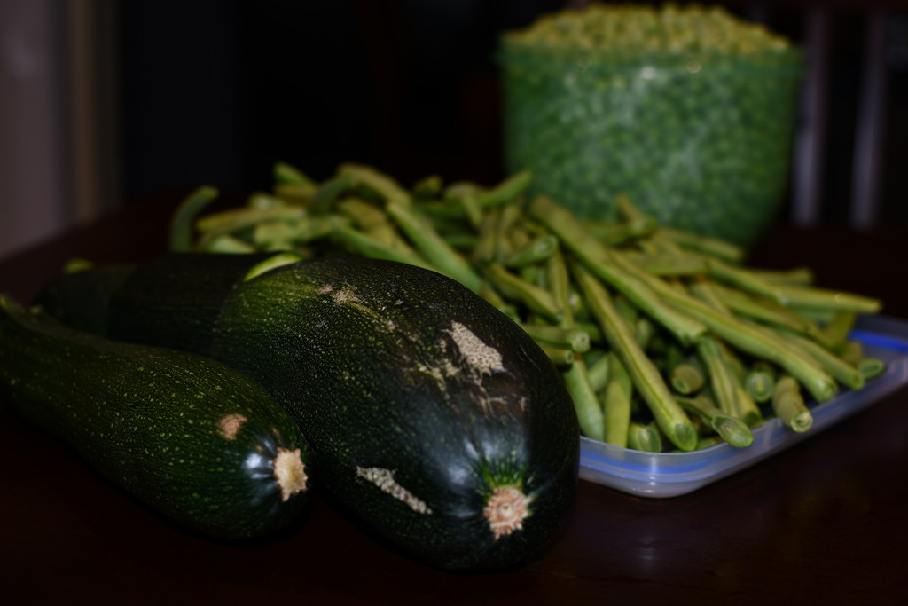 Today's Harvest - Homegrown Veggies by kgolab