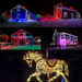 Alight At Night Collage by farmreporter