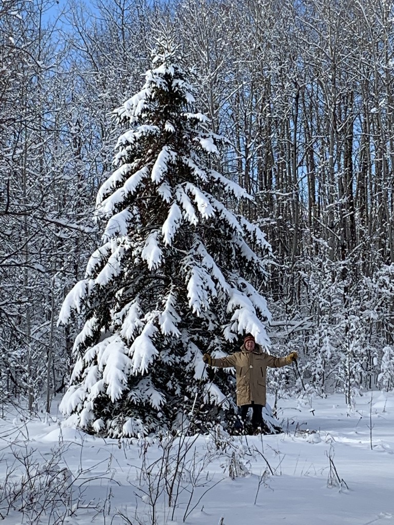 A Tree Hugger in my Backyard! by radiogirl