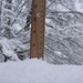 Ruler Covered in Snow by sfeldphotos