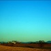 Virginia Farm in the Golden Hour by olivetreeann