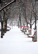 8th Jan 2019 - Empty promenade with snow the and red benches