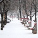 Empty promenade with snow the and red benches by kork