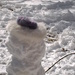 Our toddler snowman by sfeldphotos