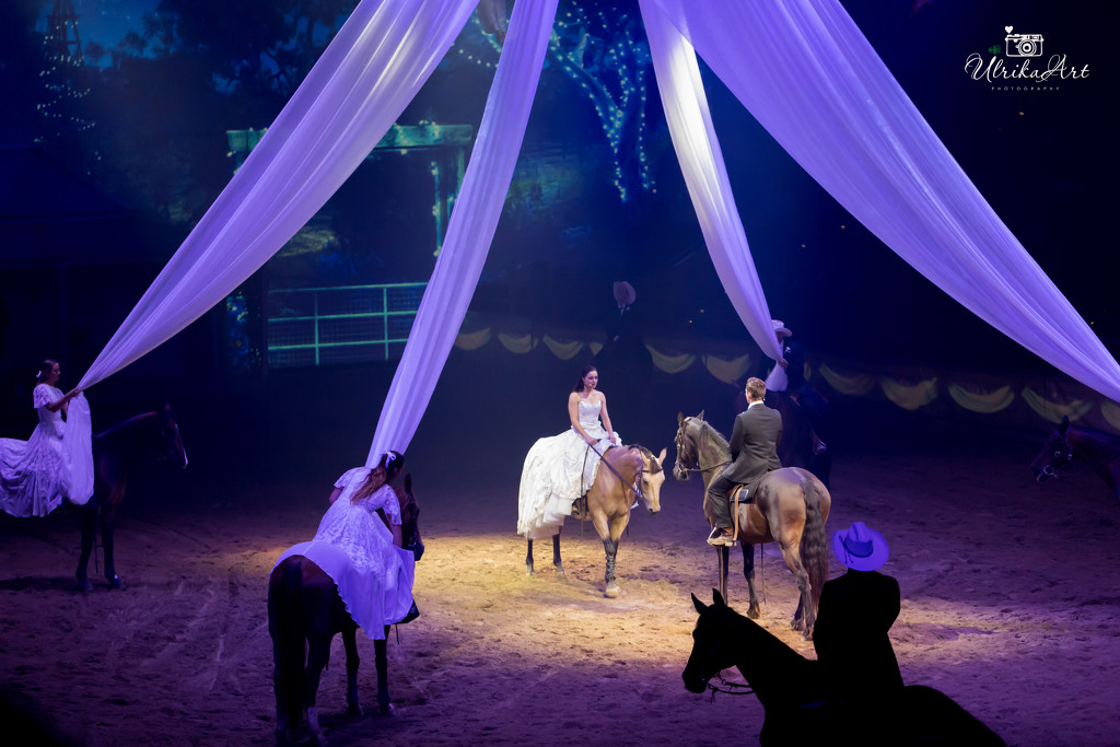 Australian Outback Spectacular by ulla