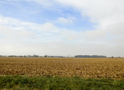 25th Nov 2018 - Empty Corn field