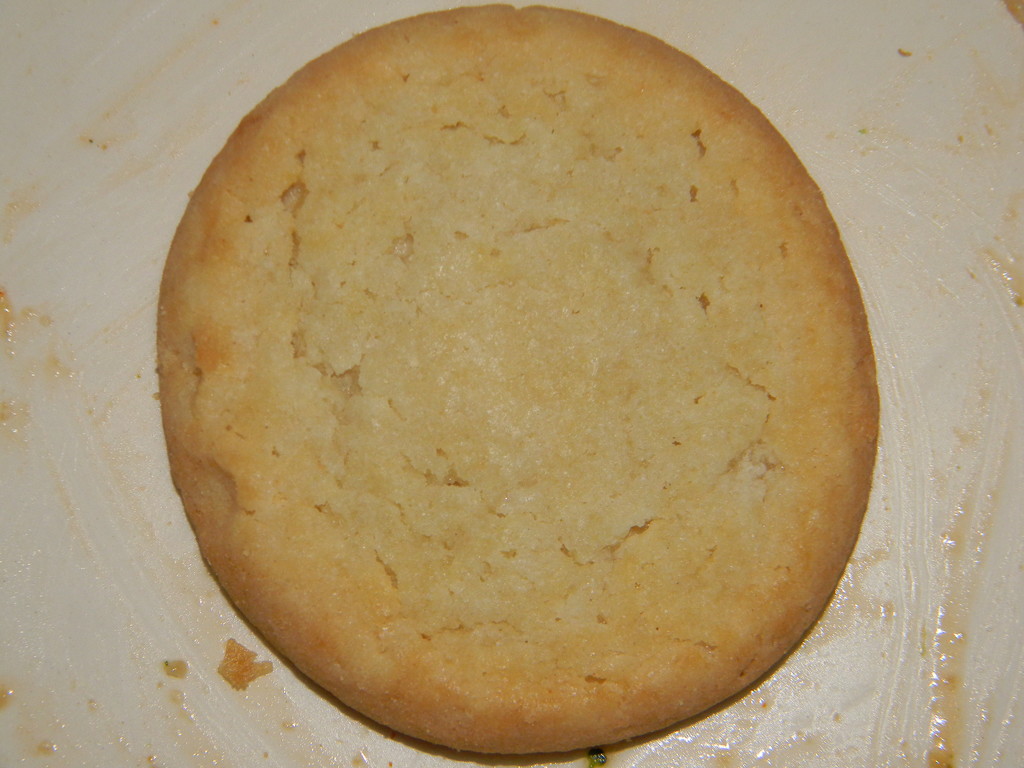 Sugar Cookie on Plate by sfeldphotos