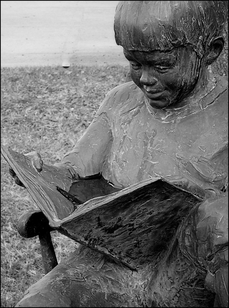 Little Boy Reading by olivetreeann