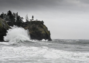9th Jan 2019 - ~Cape Disappointment~