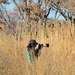 Photographer In The Bush by bigdad