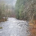 Salmon River at Wildwood (Oregon)