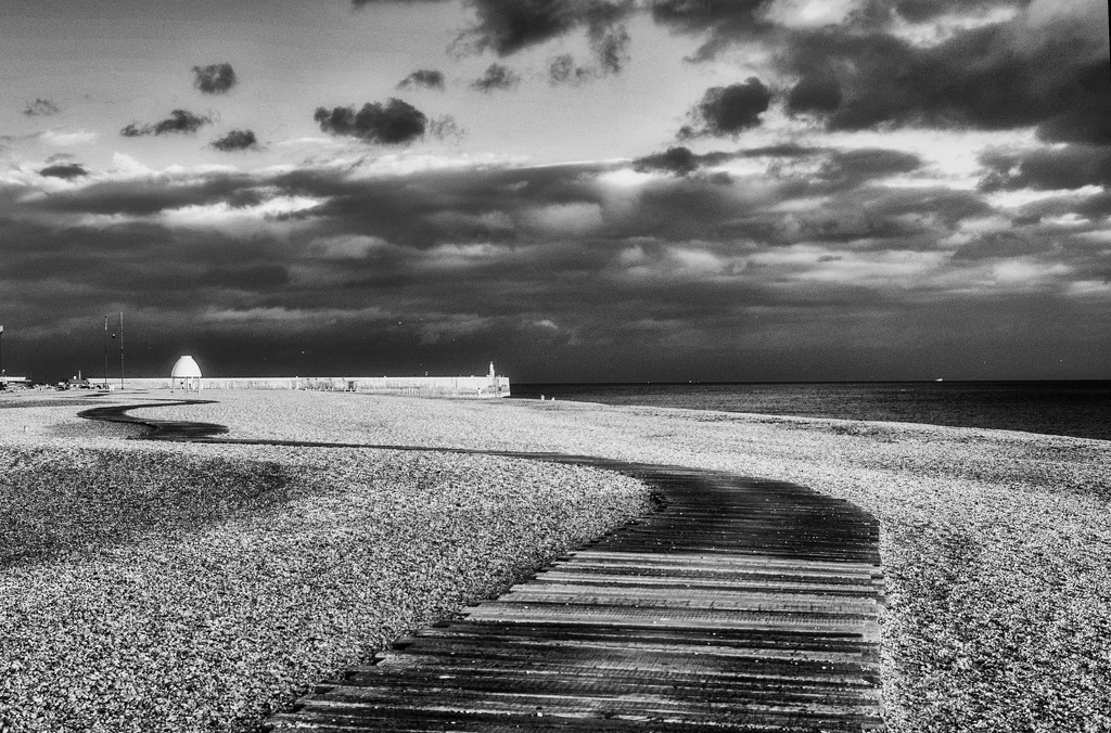 Snaking through the Shingle by fbailey