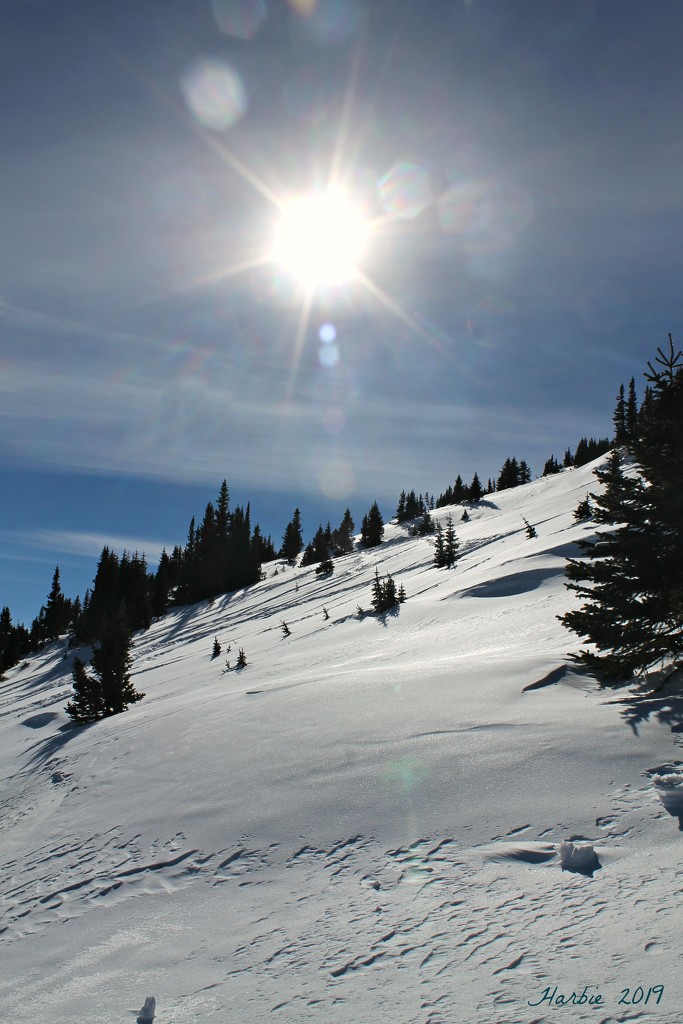 Sun and Slopes by harbie