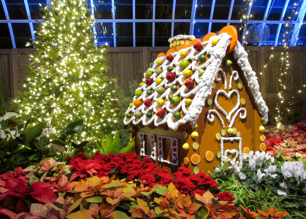 Gingerbread house display by mittens