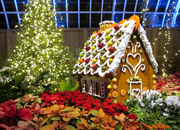 11th Jan 2019 - Gingerbread house display