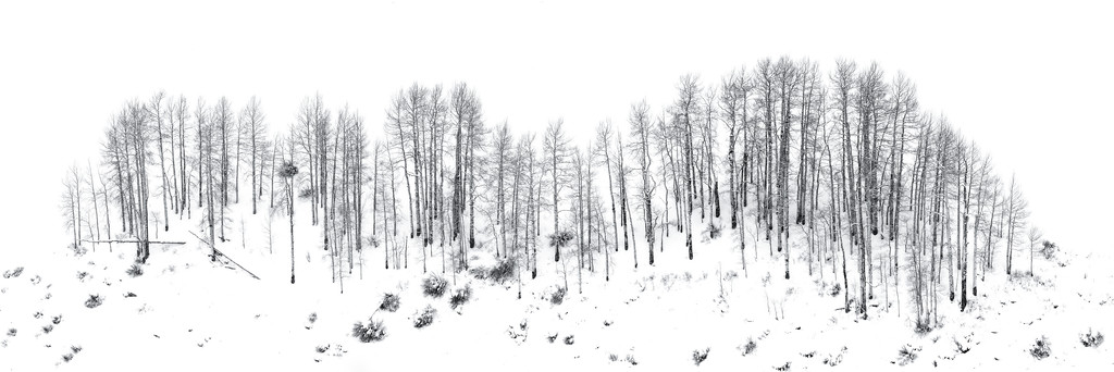 Layers of Fallen Snow by exposure4u